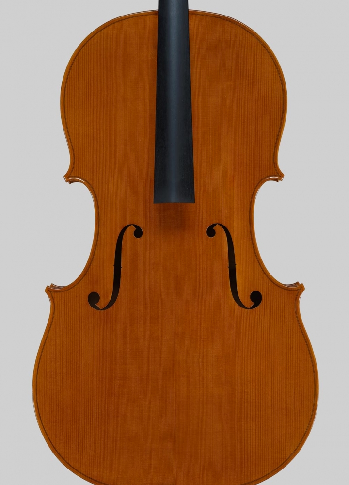 Violoncelli di altissima qualità Francesco Toto Violinmaker